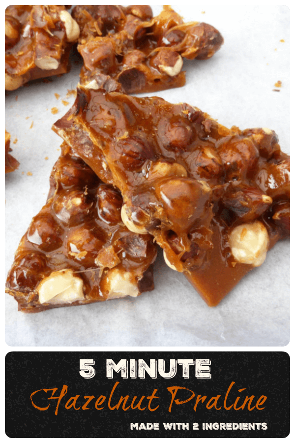 Spectacular Five Minute Hazelnut Praline (with just two ingredients)