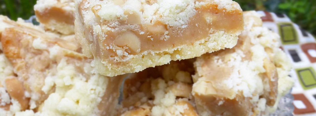 Salted Peanut Caramel Shortbread Crumb Bars (Gluten Free)