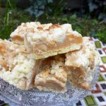 Salted Peanut Caramel Shortbread Crumb Bars (Gluten Free)